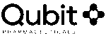 Qubit Pharmaceuticals logo - a symbol representing innovative quantum-assisted drug discovery technology aimed at accelerating therapeutic development.