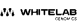Whitelab Genomics logo - Innovative startup specializing in AI-driven solutions for gene and cell therapy development.